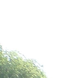 �������, ���������, 57 ���