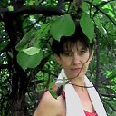 ���� �������, �������� - ��������� 2 ������� 2016 � ������ ���� ����������