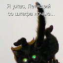 ���� �����, �����-���������, 34 ���� - ��������� 23 ����� 2016 � ������ ���� ����������