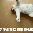 ���� �������, �������, 60 ��� - ��������� 19 ����� 2016 � ������ ���� ����������