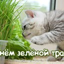 ���� ������, �����-���������, 62 ���� - ��������� 13 ������ 2016 � ������ �������� ��������