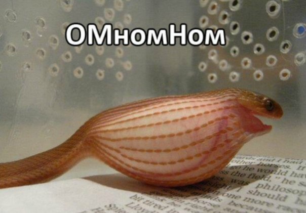 ������ �� ��� :D - 30 ������ 2016 � 04:06 - 3