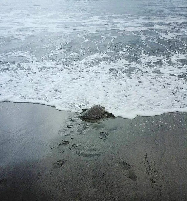 �������� ��������! ������� �������� �� ����������������� ����� ������� � ��������� �� ������� � ���� ... - 4