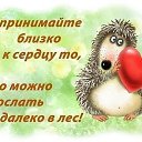 ���� ����, ������, 44 ���� - ��������� 15 ������ 2016 � ������ ������ ��������