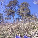 ���� �������, ����������, 50 ��� - ��������� 23 ������ 2016 � ������ ������������� 23.04.2016�