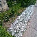 ���� Nina, �������, 66 ��� - ��������� 13 ���� 2016 � ������ ������ - ��� �������!�