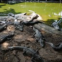 ���� ����, ������������, 55 ��� - ��������� 27 ����� 2016 � ������ ��������