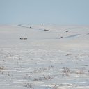 ���� ������, ������, 48 ��� - ��������� 5 ������ 2016 � ������ ���� ����������