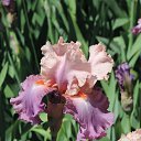  , , 60  -  16  2016    ,,18.05.16.