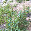 ���� U-jin, ������, 54 ���� - ��������� 11 ������� 2016 � ������ ������� ������ �����