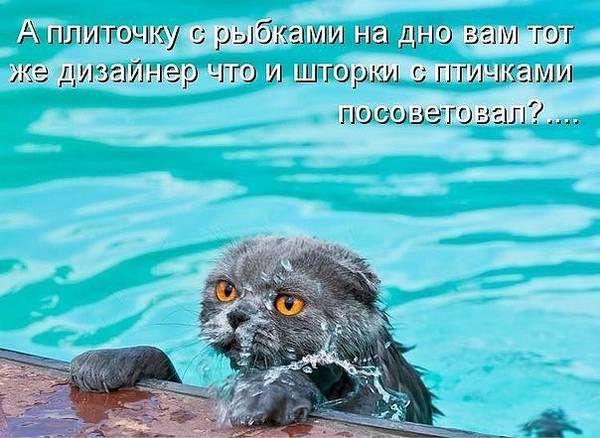 ��� ���� � ����� �� �� - 29 ����� 2016 � 11:08