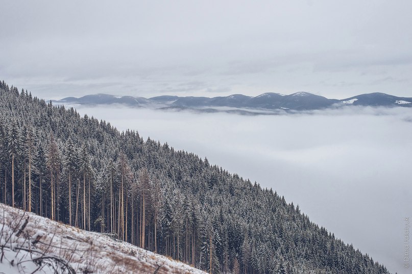 Carpathian Mountains, Ukraine - 2