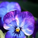 ���� ��������� ���������, ��������� - ��������� 23 ��� 2016 � ������ ���� ����������