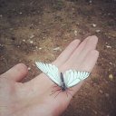 ���� �����, ������ - ��������� 14 ���� 2016 � ������ ���� ����������