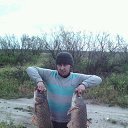 ���� ���������, ���������, 39 ��� - ��������� 5 ���� 2016 � ������ ���� ����������