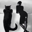 ���� �����, ������, 51 ��� - ��������� 30 ���� 2016 � ������ ������ ��������