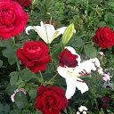 ���� ����, ��������� - ��������� 30 ����� 2016 � ������ �.....�