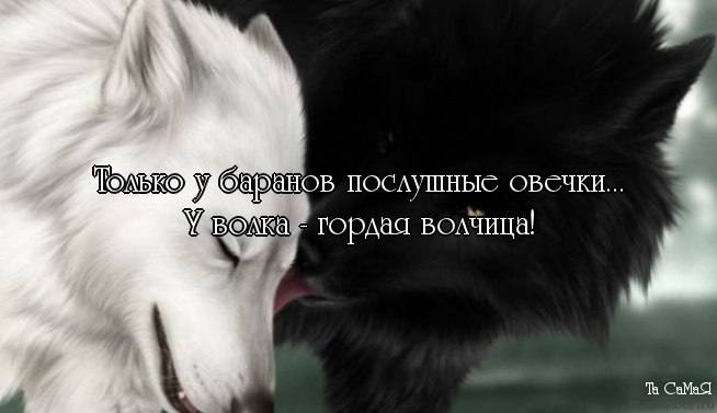   - 1  2016  19:28