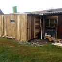���� �����, ������, 37 ��� - ��������� 6 ������� 2016 � ������ ������ ��������