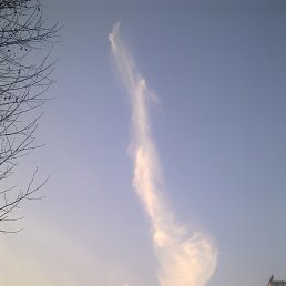 Qobil, �������