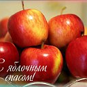 ���� ��������, ���������, 45 ��� - ��������� 19 ������� 2016 � ������ �������� ��������