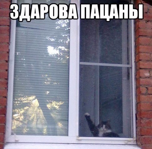    :D - 12  2016  23:30