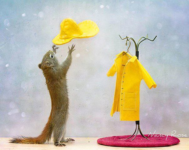   .        ,    ... - 8