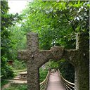 ���� �������, ����, 41 ��� - ��������� 3 ������� 2016 � ������ �������