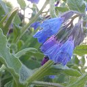  , , 59  -  28  2016   sok