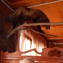 ���� ����, ����������� - ��������� 25 ��� 2016 � ������ ���� ����������