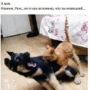 ���� ������, ���������, 60 ��� - ��������� 12 ��� 2016 � ������ ������ ��������