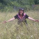 ���� �����, ������, 66 ��� - ��������� 31 ���� 2016 � ������ ���� ����������