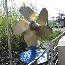 ���� �������, �����������, 72 ���� - ��������� 1 ���� 2016 � ������ ��������-������ 2016�