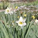  , , 60  -  5  2016     ,03.04.16.