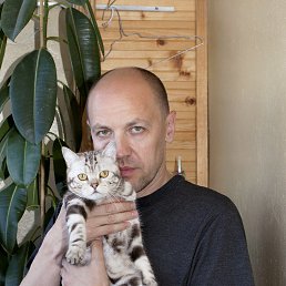 Vladimir, �����, 58 ���