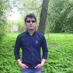 �����, �����-���������, 41 ���