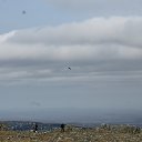 ���� ������, ������, 50 ��� - ��������� 5 ��� 2016 � ������ ���������