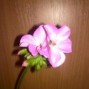 ���� ���������, �������, 42 ���� - ��������� 28 ������� 2016 � ������ ������ ��������