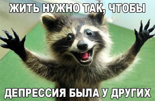   .,    ! <a href=