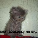 ���� �����, ����������, 41 ��� - ��������� 23 ���� 2016 � ������ ���� ����������