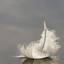 ���� Seagull - Larum, ����������� - ��������� 9 ������� 2016 � ������ ������ ��������