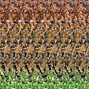 ���� �����, ������� - ��������� 28 ������� 2016 � ������ ������ ��������