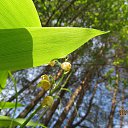 ���� ��������, �����������, 61 ��� - ��������� 27 ���� 2016 � ������ ��������