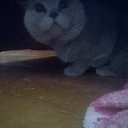 ���� Evgeni., �����, 36 ��� - ��������� 8 ���� 2016