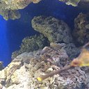 ���� Canpod, ������, 40 ��� - ��������� 24 ������ 2016 � ������ ������ ��������