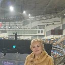 ���� �������, ������ - ��������� 31 ����� 2016 � ������ ���� ����������