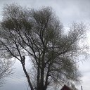 ���� ���������, ���������, 34 ���� - ��������� 29 ������ 2016 � ������ ������ ��������