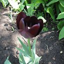 ���� ��������, ��������������, 50 ��� - ��������� 29 ������ 2016 � ������ ������ ��������