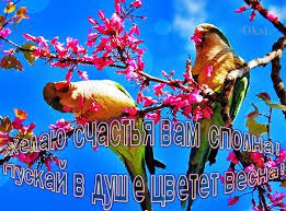 ДАВАЙТЕ ЖИТЬ ВСЕГДА ТЕПЛОМ НАДЕЖДЫ..... Давайте жить всегда теплом надежды! По жизни оптимистом надо ...