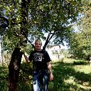 ���� ������, �����, 46 ��� - ��������� 29 ������ 2016 � ������ ���� ����������